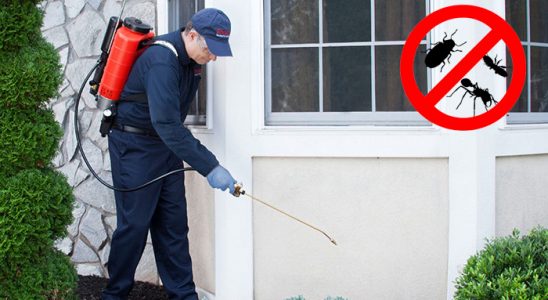 Reşadiye Tahtakurusu İlaçlama böcek ilaçlama ve haşere kontrolü — ilaclama-tr.com